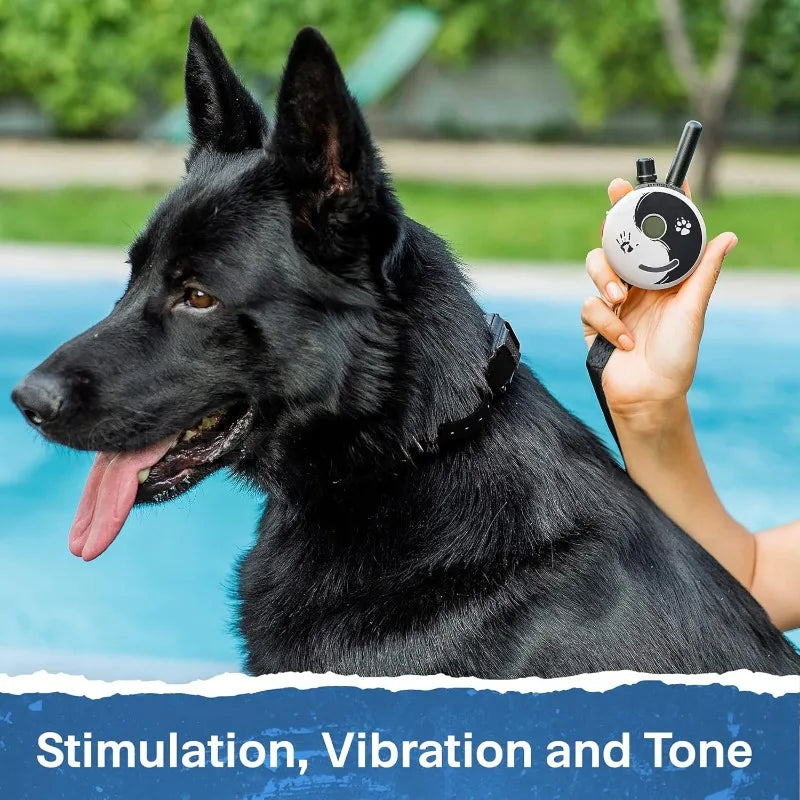 Mini Educator ET-302 Zen - 1/2 Mile Ecollar Dog Training Collar with Remote for Two Dogs - Small, Medium, Large Dogs - Static