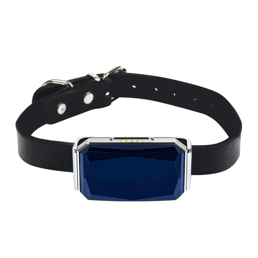 Dog GPS Tracker Dog Collar Real-Time Pet GPS Tracker Pet Activity Monitors With Alarm Waterproof Tracking Collar For Dogs Cat