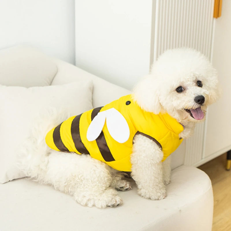 Dog clothes cat clothes bee dog clothes four seasons new bee warm pet waterproof clothes
