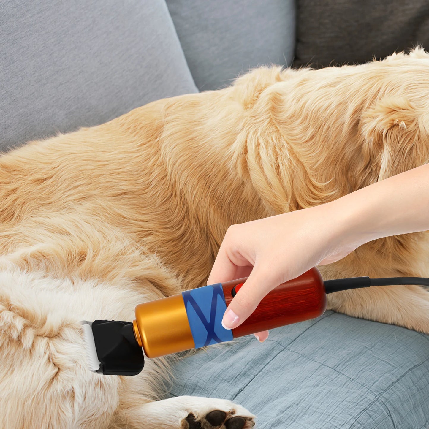 Corded Electric Variable Speed Hair Clipper with Toolbox 36W 1000-6600rpm for Grooming Trimming