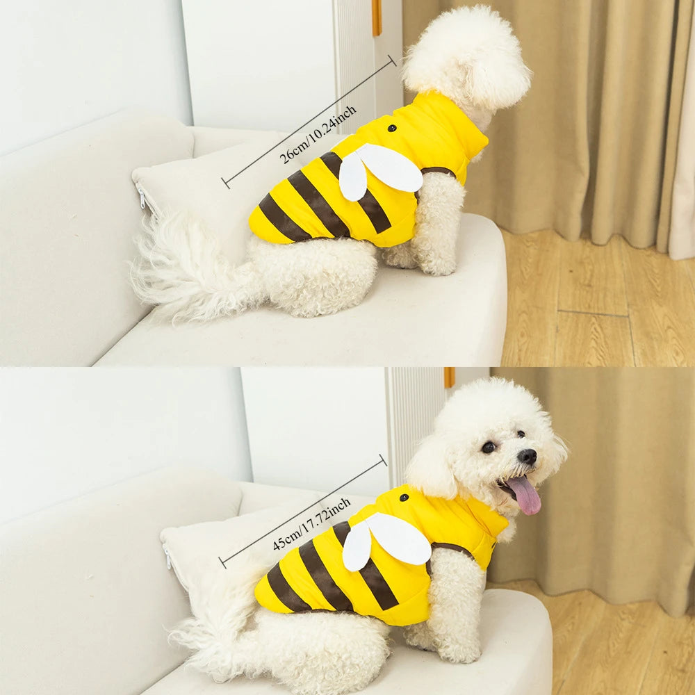 Dog clothes cat clothes bee dog clothes four seasons new bee warm pet waterproof clothes