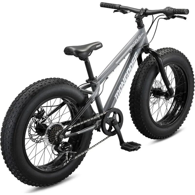 Mongoose Argus ST & Trail Fat Tire Mountain Bike for Adult Youth Men Women, 20 to 26-Inch Wheels, Mechanical Disc Brakes