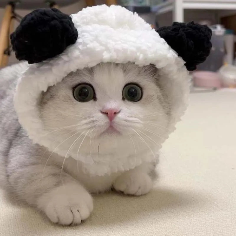 1 Or 2pcs Cute Cat Costume Warm Bear Hats For Cat Adjustable Soft Small Pet Headwear Bear Hat For Cat Puppy Dog Holiday